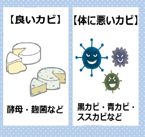 下駄箱　玄関　靴箱　梅雨　体に良いカビ　体に悪いカビ　カビ　湿気　消臭　ニオイ　におい　臭い　除湿方法　下駄箱や玄関の臭いやカビでお困りの方必見！！消臭法＆除湿法をご紹介します。