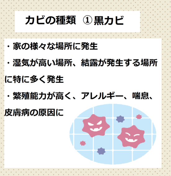 黒カビ　カビの種類カビが原因の病気　湿気　カビ　対策　下駄箱　玄関　靴箱　梅雨　カビ　湿気　消臭　ニオイ　におい　臭い　除湿方法　下駄箱や玄関の臭いやカビでお困りの方必見！！消臭法＆除湿法をご紹介します。