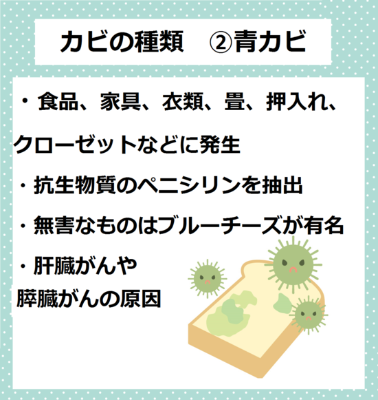 青カビ　カビの種類カビが原因の病気　湿気　カビ　対策　下駄箱　玄関　靴箱　梅雨　カビ　湿気　消臭　ニオイ　におい　臭い　除湿方法　下駄箱や玄関の臭いやカビでお困りの方必見！！消臭法＆除湿法をご紹介します。