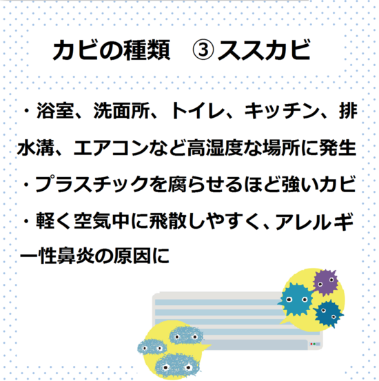 ススカビ　カビの種類カビが原因の病気　湿気　カビ　対策　下駄箱　玄関　靴箱　梅雨　カビ　湿気　消臭　ニオイ　におい　臭い　除湿方法　下駄箱や玄関の臭いやカビでお困りの方必見！！消臭法＆除湿法をご紹介します。