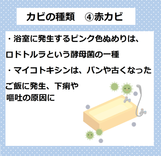 赤カビ　カビの種類カビが原因の病気　湿気　カビ　対策　下駄箱　玄関　靴箱　梅雨　カビ　湿気　消臭　ニオイ　におい　臭い　除湿方法　下駄箱や玄関の臭いやカビでお困りの方必見！！消臭法＆除湿法をご紹介します。