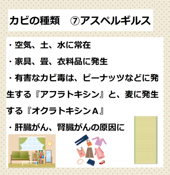 アスペルギルス　カビの種類カビが原因の病気　湿気　カビ　対策　下駄箱　玄関　靴箱　梅雨　カビ　湿気　消臭　ニオイ　におい　臭い　除湿方法　下駄箱や玄関の臭いやカビでお困りの方必見！！消臭法＆除湿法をご紹介します。