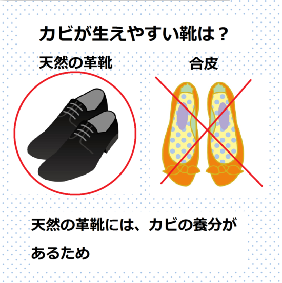 カビが生えやすい靴　カビの種類　カビが原因の病気　湿気　カビ　対策　下駄箱　玄関　靴箱　梅雨　カビ　湿気　消臭　ニオイ　におい　臭い　除湿方法　下駄箱や玄関の臭いやカビでお困りの方必見！！消臭法＆除湿法をご紹介します。